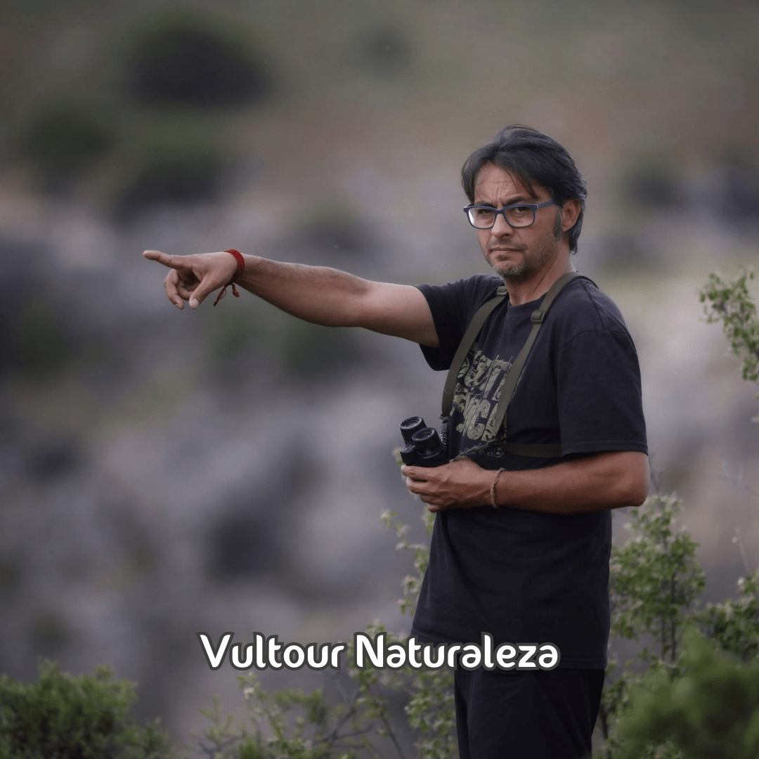 Vultour Naturaleza