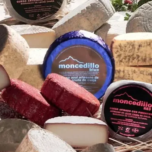 variedad de quesos Moncedillo